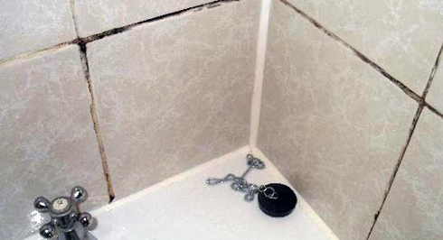 Найчастіше грибок утворюється на оброблених силіконовим герметиком стиках між ванною, умивальником та стіною, а також на швах між плиткою.