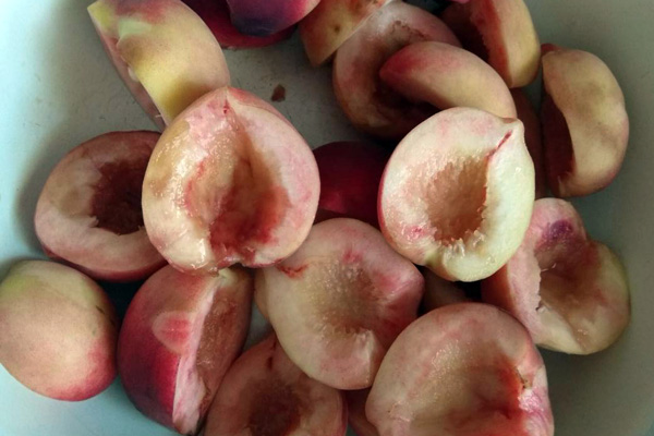 Для того, щоб приготувати персики консервовані дольками, необхідно вибирати стиглі плоди, щоб вони легко відділялися від кісточки.